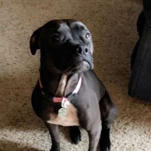 Meet your Posher, Vaso